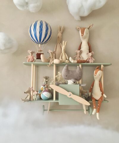 Dashy_biplane_shelf2