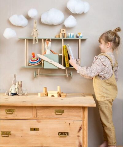 Dashy_biplane_shelf6