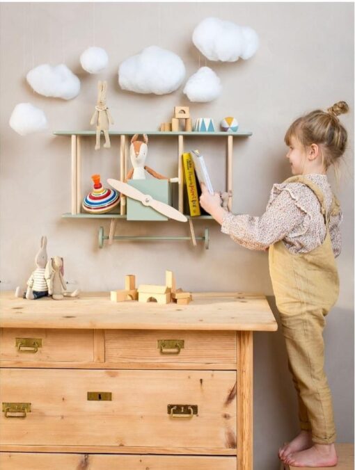 Dashy_biplane_shelf6